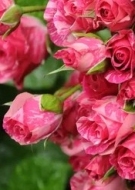 путана Вероника, анкета 303594, 45 лет, метро Речной вокзал, фото 3