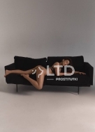 путана Стелла, анкета 413766, 23 года, метро Киевская, фото 3