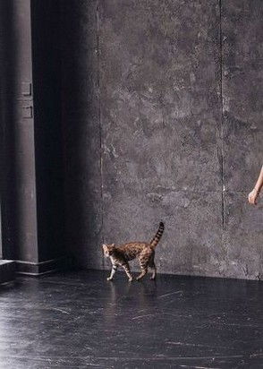 девушка по вызову Лора, анкета 456980, 22 года, метро Шелепиха, фото 4