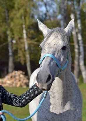 индивидуалка Алиса, анкета 481133, 25 лет, метро Лермонтовский проспект, фото 1