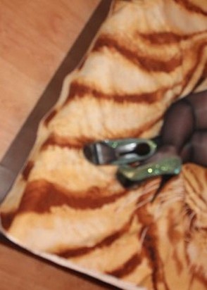 индивидуалка Зара, анкета 498710, 34 года, метро , фото 1