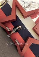 Тома (39), ВДНХ, 3,000 ₽ час, Окончание в рот, Лесби откровенное, тел +7(901)286-92-49