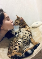 Арина (23), Фили-Давыдково, 15,000 ₽ час, Ролевые игры, Легкое подчинение, тел +7(908)803-04-65