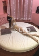 путана Ника, анкета 387397, 23 года, метро Белорусская, фото 3