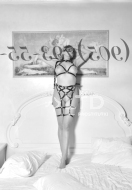 индивидуалка Лена, анкета 388255, 32 года, метро Студенческая, фото 1