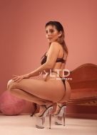 индивидуалка Сальма, анкета 503208, 28 лет, метро Тульская, фото 1