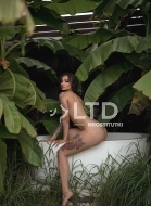 путана Алиса, анкета 409426, 26 лет, метро Смоленская, фото 3