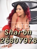 путана Шарон, анкета 410557, 23 года, метро , фото 3