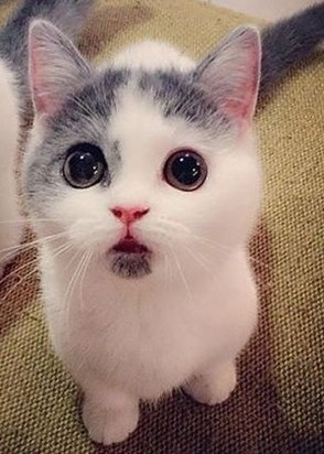 test22 (34), No phrase key specified, 10,000 ₽ час, Госпожа, Игры, тел +7(999)283-67-75