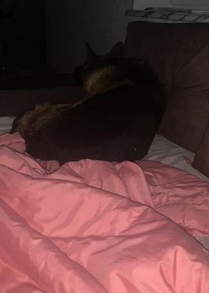 Миленка (26), No phrase key specified, 2,500 ₽ час, Секс классический, Массаж классический, тел +7(986)296-90-46