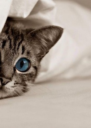 Test (21), Авиамоторная, , Минет без резинки, тел +7(908)536-61-58