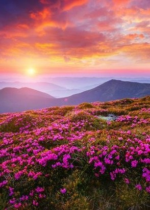 Тест анкета №17 (28), Авиамоторная, 1,111 ₽ час, Секс классический, Двойное проникновение, тел +7(995)397-80-64