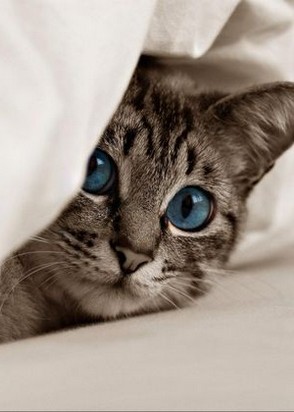 TEST (61), No phrase key specified, 5,168 ₽ час, Минет в презервативе, Стриптиз профи, тел +7(937)417-28-64