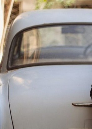 Фаня (27), Лермонтовский проспект, 8,000 ₽ час, Секс классический, Массаж расслабляющий, тел +7(908)462-31-83