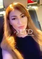 индивидуалка Дамира, анкета 406851, 29 лет, метро Академическая, фото 1